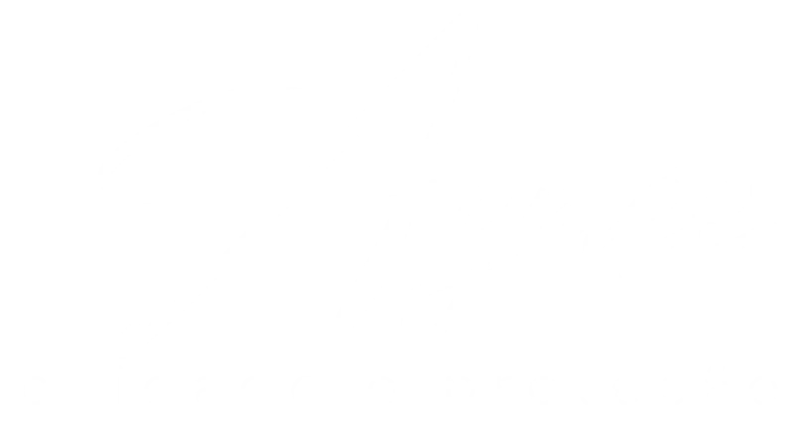 Aymée Logo